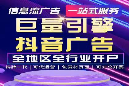 大型企业SEM外包实战案例